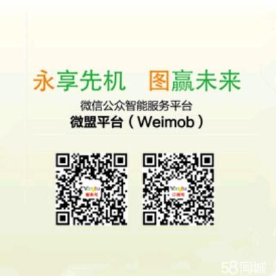 汕頭微信營銷與網(wǎng)站建設 數(shù)字化發(fā)展的關鍵驅(qū)動力